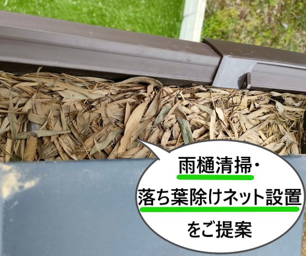 落ち葉が溜まっている雨樋に雨樋清掃と落ち葉除けネットの設置をご提案