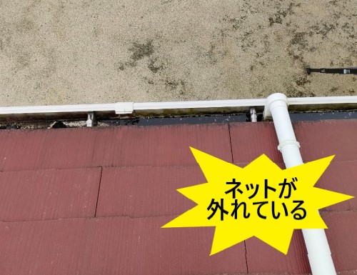 落ち葉除けネットが外れている