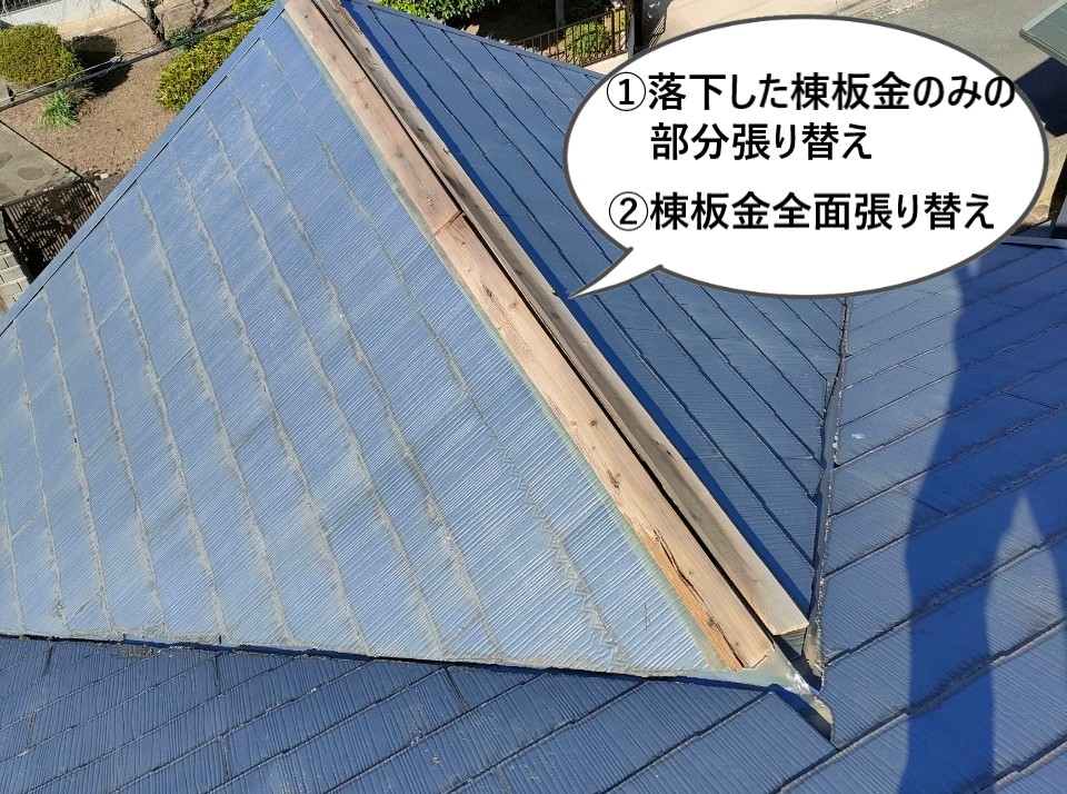 落下した棟板金のみの部分張り替えか全面張り替えの２通りでご提案