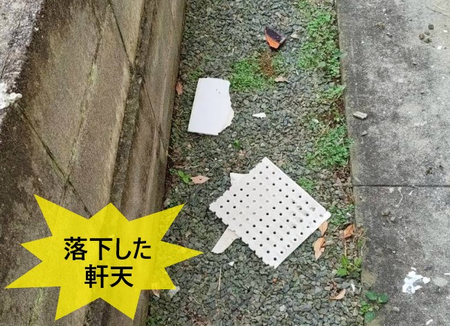 落雷で落下した軒天