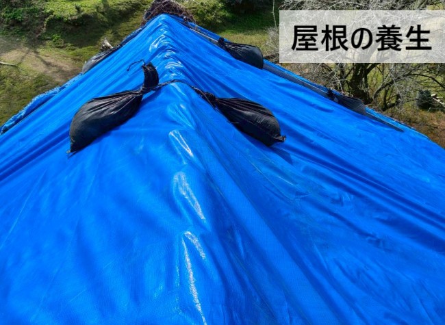 蔵の屋根のブルーシート養生
