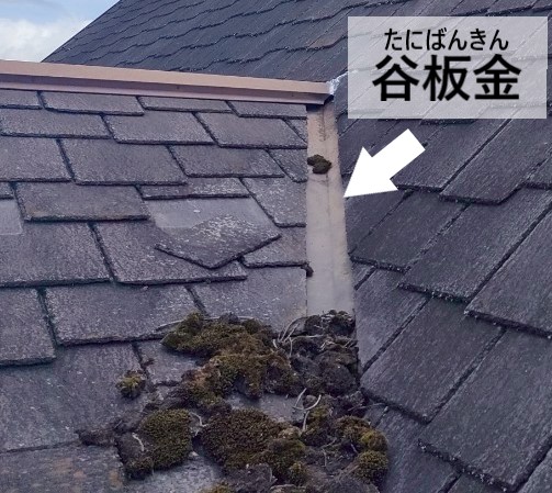 谷板金に苔が繁殖している