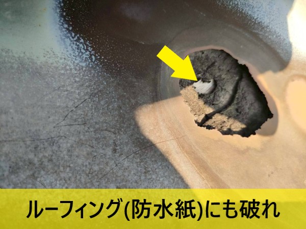 谷板金の下にあるルーフィングにも破れ
