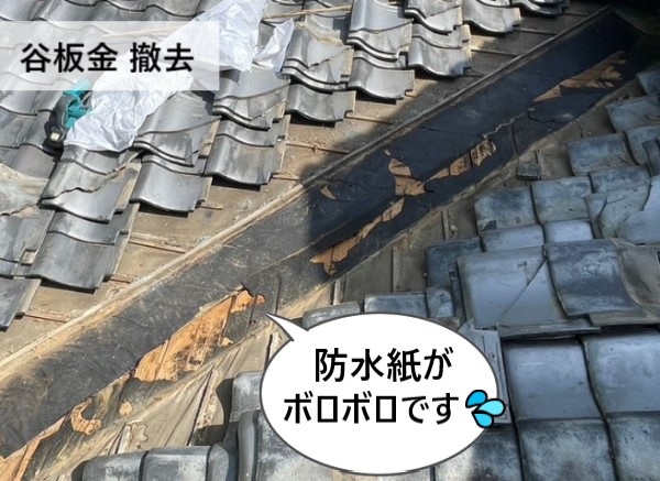 谷板金を撤去すると防水紙がボロボロに破れています