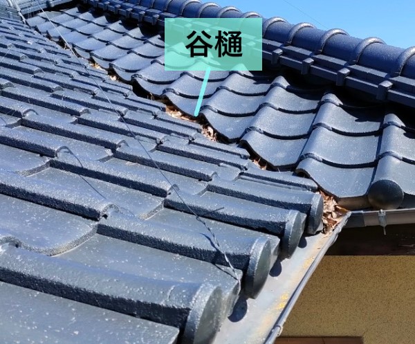 谷樋に落ち葉が溜まっている