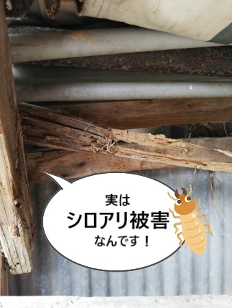 車庫のシロアリ被害