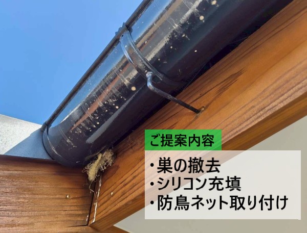 軒先に作られているスズメの巣対策をご提案