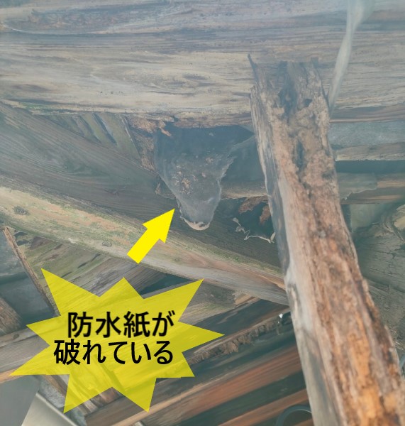 軒天が腐食して防水紙が破れている