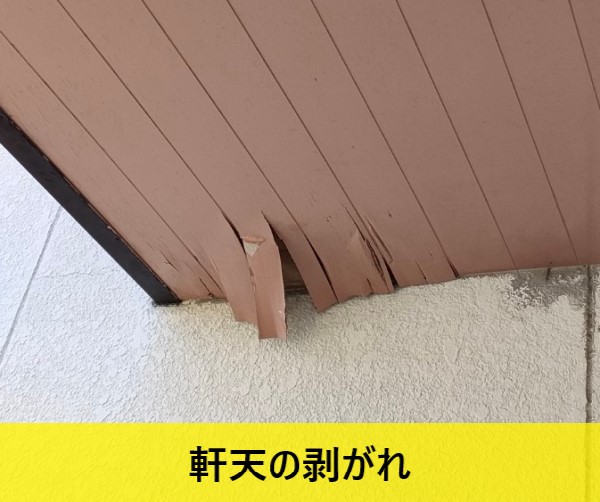 軒天に剥がれが見られます