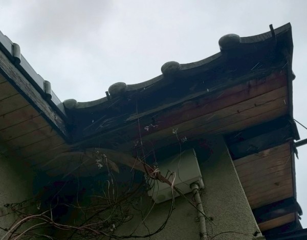 軒天張り替え前