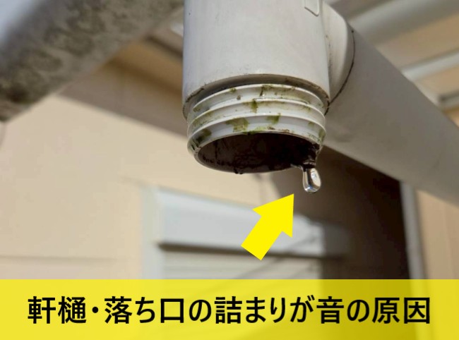 軒樋と落ち口の詰まりが音の原因と判明