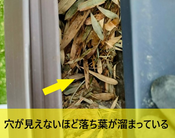 軒樋に水を流す穴が見えないほど落ち葉が溜まっている