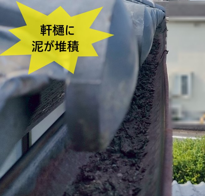軒樋に泥が堆積している