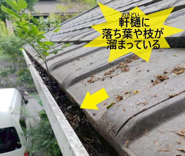 軒樋に落ち葉や枝が溜まっている