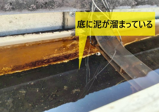 軒樋の底には泥がヘドロのようにたまっています