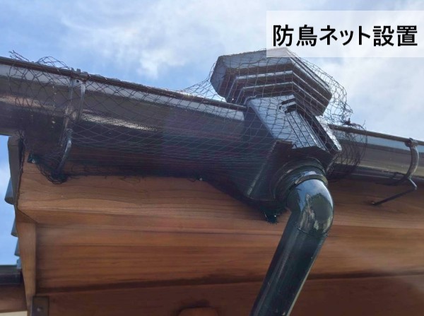 軒樋周辺に防鳥ネットを設置しました