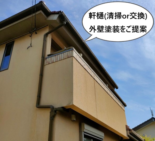 軒樋清掃と落ち葉除けネットの取り付けか軒樋交換と外壁塗装をご提案