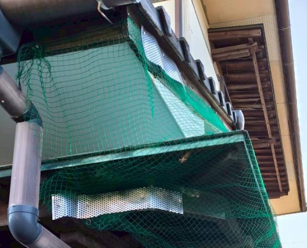 軒裏に隙間が開いていた