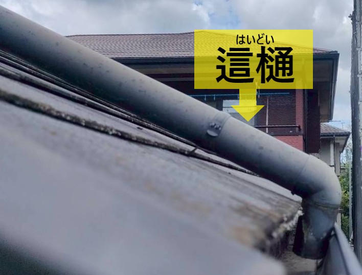 這樋も交換見積します