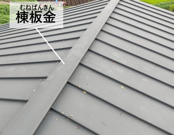 金属屋根の棟板金を調査