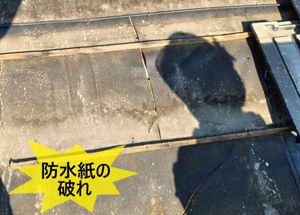 防水紙が破れている