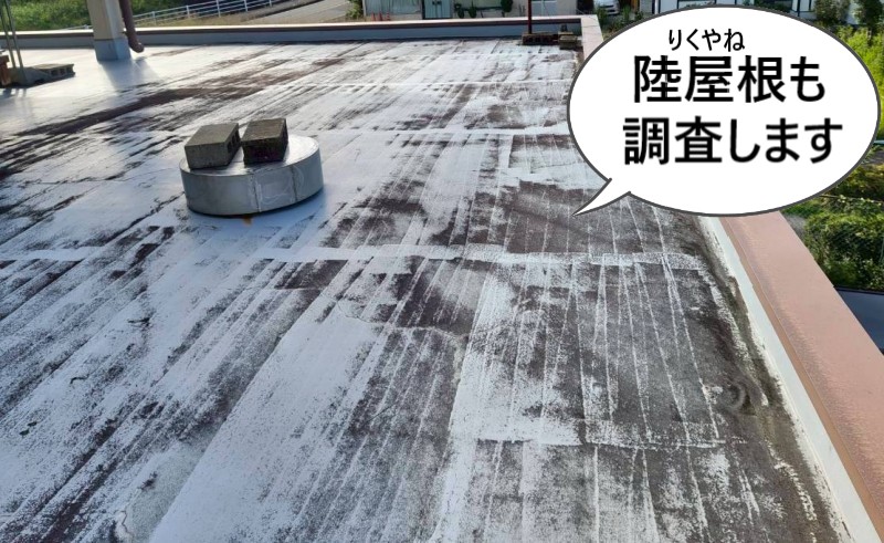 陸屋根も調査します