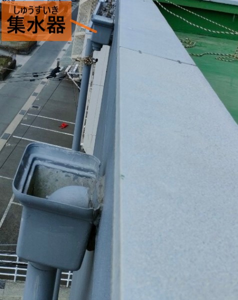 集水器から竪樋が外れている
