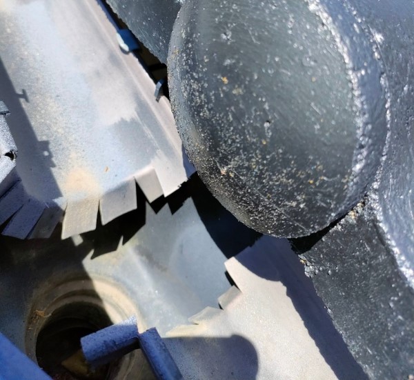 集水器にも落ち葉はありませんでした