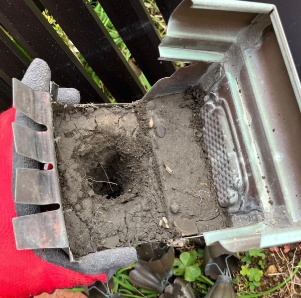 集水器に土が溜まっている
