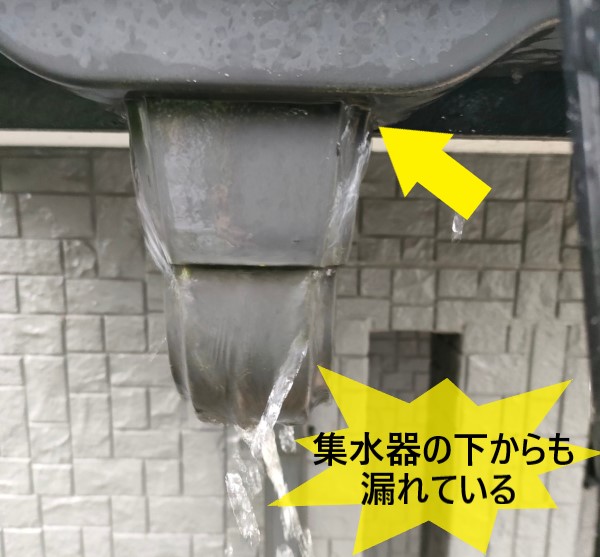 集水器の下からも雨水が漏れている