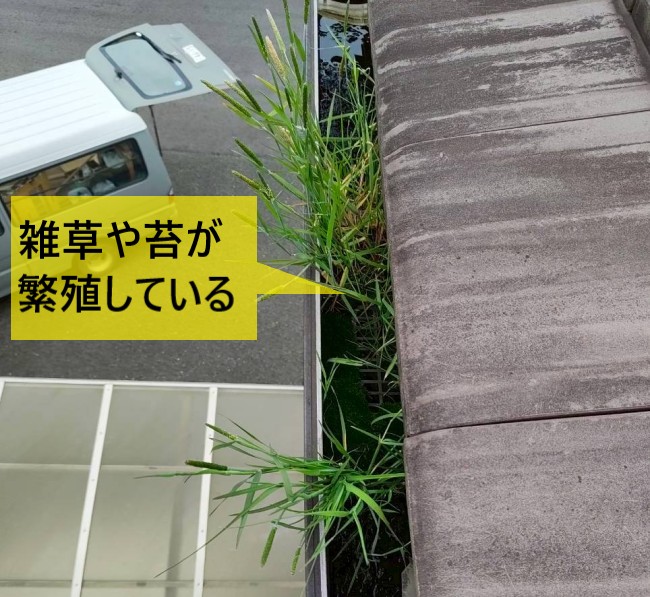 雑草や苔が繁殖している軒樋