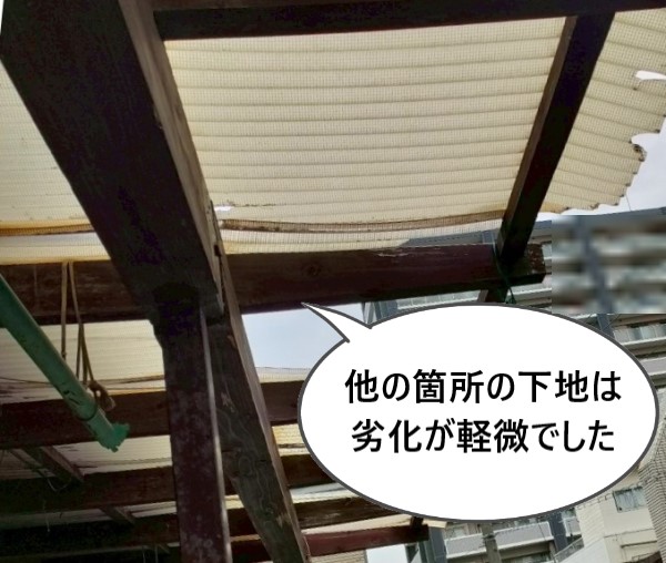 雨ざらしになった箇所以外の下地は劣化が軽微でした