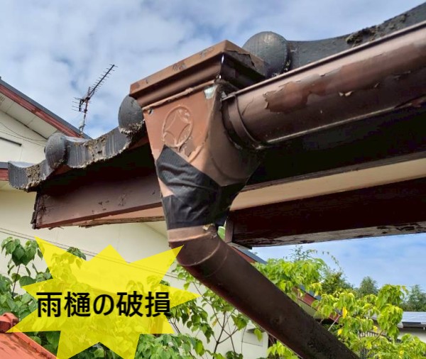 雨樋の破損