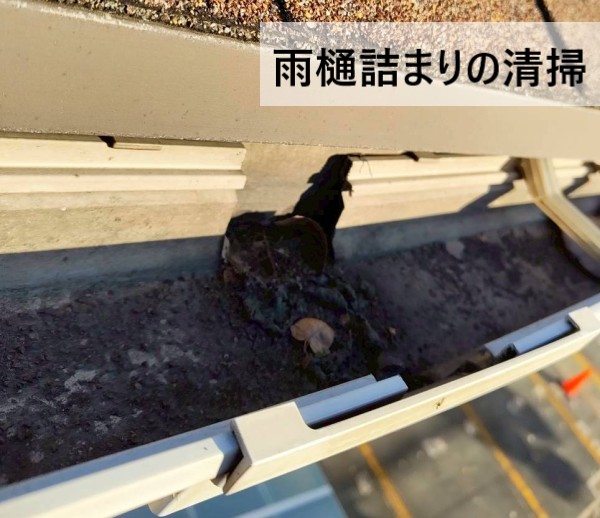 雨樋詰まりの清掃