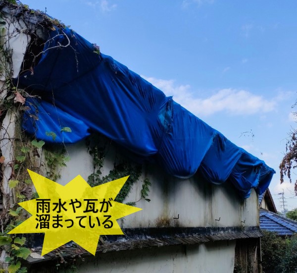 雨水や瓦がブルーシートに溜まっている