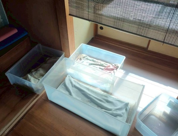 雨漏りした雨水を衣装ケースで受けている