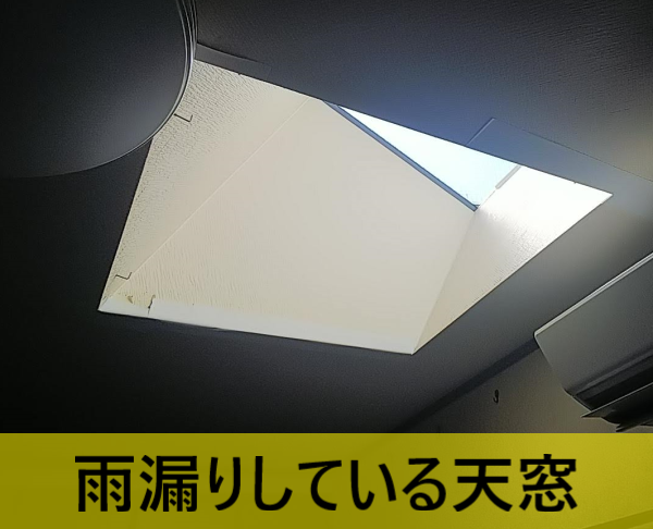 雨漏りしている天窓