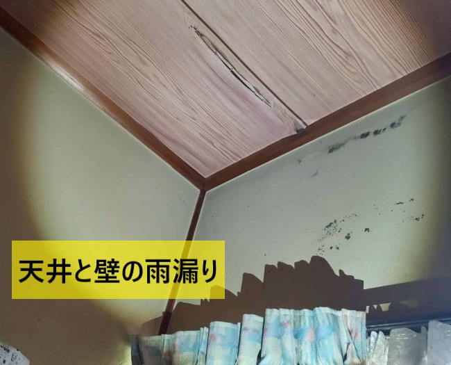 雨漏りで天井のめくれや壁のカビが発生している