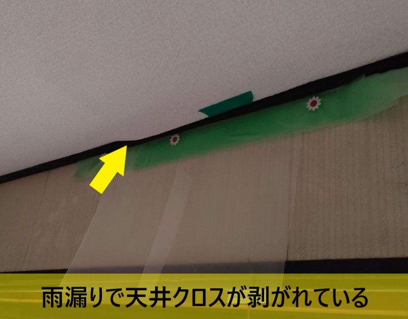 雨漏りで天井クロスが剥がれている