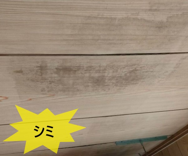 雨漏りによる天井のシミ