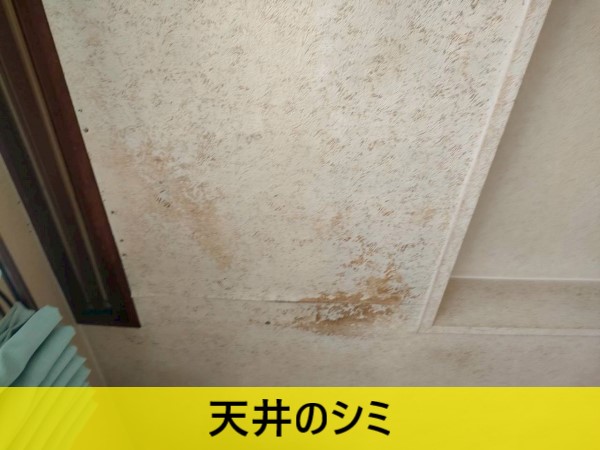 雨漏りによる天井のシミ