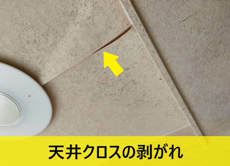 雨漏りによる天井クロスの剥がれ