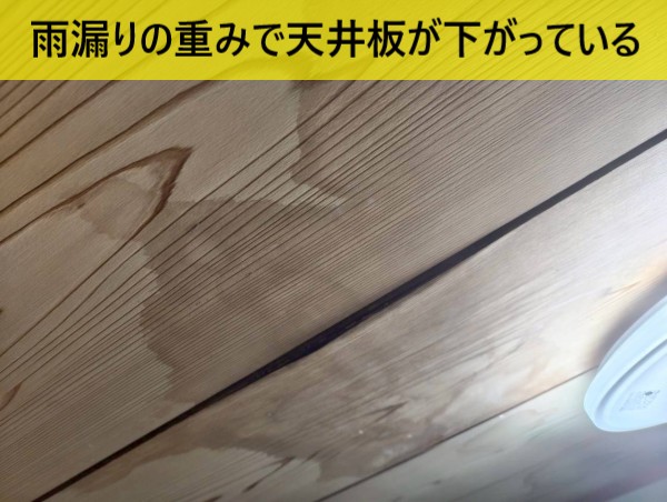 雨漏りの重みで天井板が下がっている