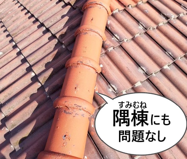 雨漏り箇所上部の隅棟にも問題なし