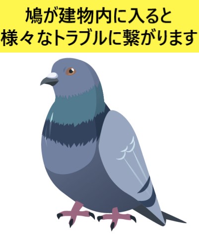 鳩の侵入を防ぐ