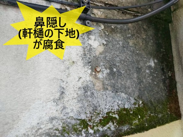 鼻隠し（軒樋の下地）が腐食している