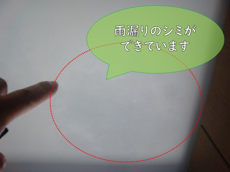 紀の川市で玄関の天井に雨漏りが発生し、玄関の天井には雨漏りの跡ができていました