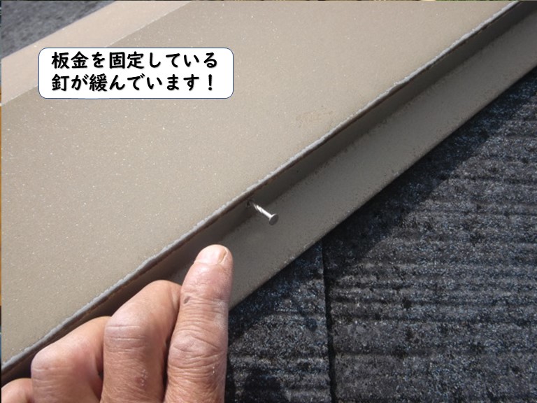 岩出市の板金を固定している釘が緩んでいます