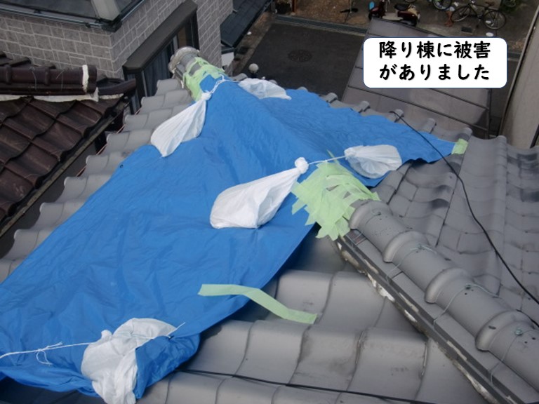 和歌山市の降り棟に被害がありました