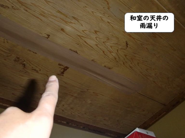 和歌山市の和室の天井の雨漏り